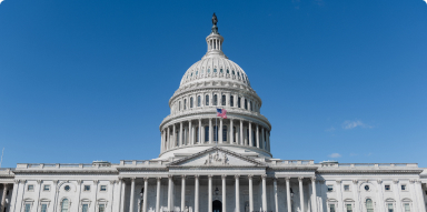 Federal Government