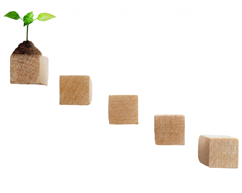 growth business concept 1024x678 1 e1732027770276