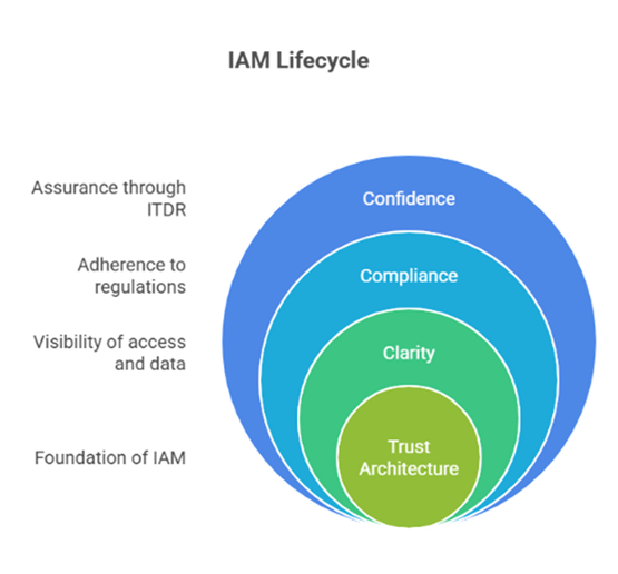 infogra7
