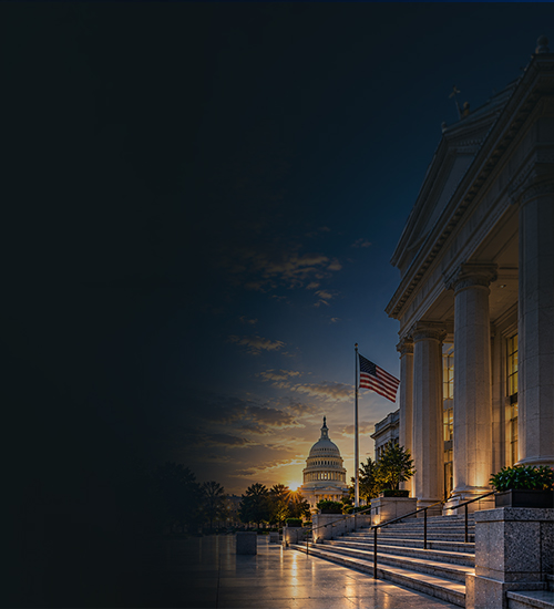 Public Sector