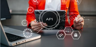 Robust API Development