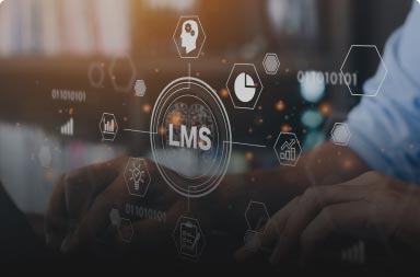 Learning Management Systems (LMS) and Content Analysis